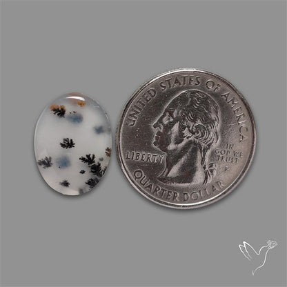 Russian Dendritic Agate Cabochon