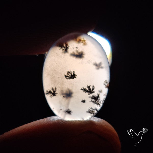 Russian Dendritic Agate Cabochon