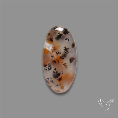 Russian Dendritic Agate Cabochon