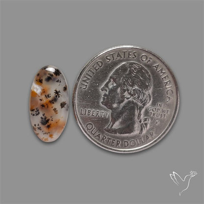 Russian Dendritic Agate Cabochon
