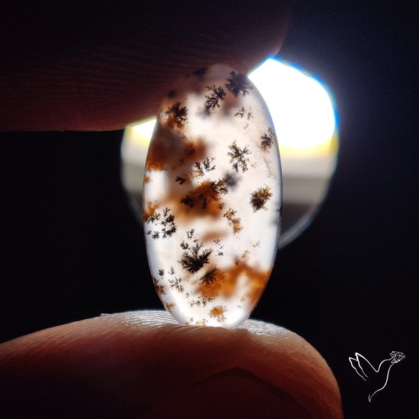 Russian Dendritic Agate Cabochon