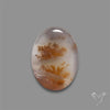 Russian Dendritic Agate Cabochon