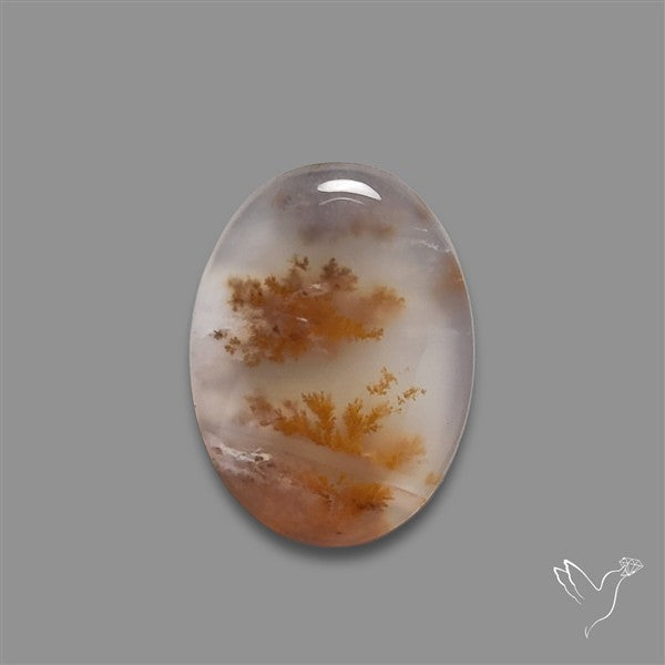 Russian Dendritic Agate Cabochon