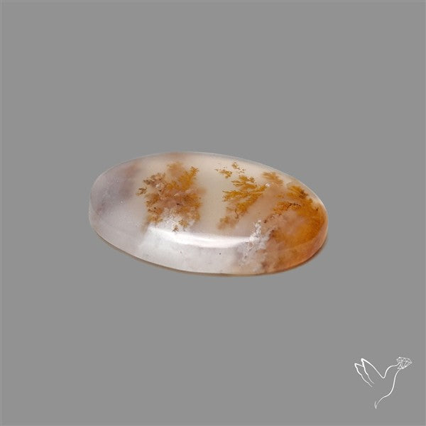 Russian Dendritic Agate Cabochon