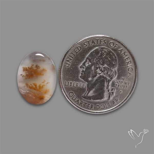 Russian Dendritic Agate Cabochon