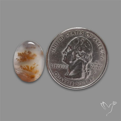 Russian Dendritic Agate Cabochon