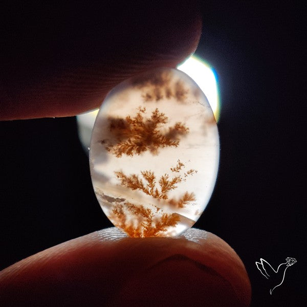Russian Dendritic Agate Cabochon