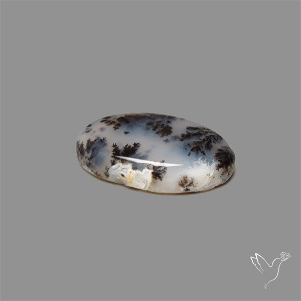 Russian Dendritic Agate Cabochon
