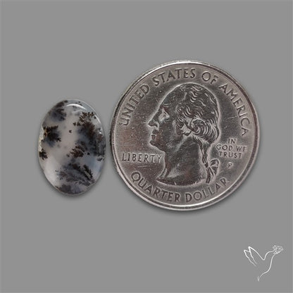 Russian Dendritic Agate Cabochon
