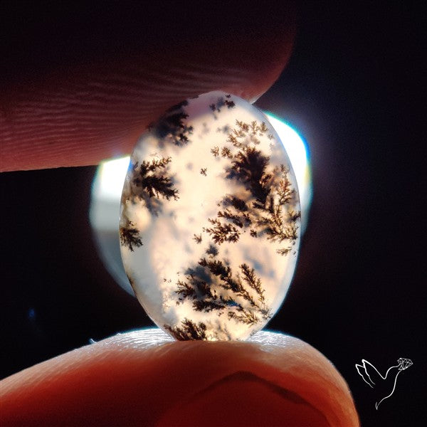 Russian Dendritic Agate Cabochon