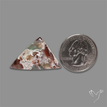 Aqua Chrysoprase Cabochon Selected Rare Patterns
