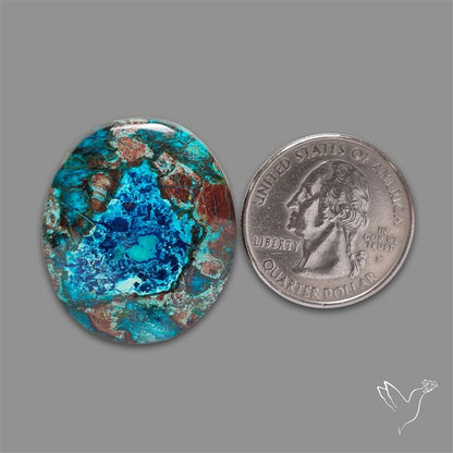 Shattuckite with Cuprite and Azurite Cabochon