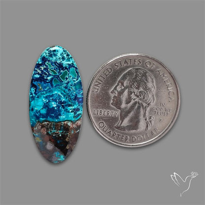Shattuckite with Cuprite and Azurite Cabochon