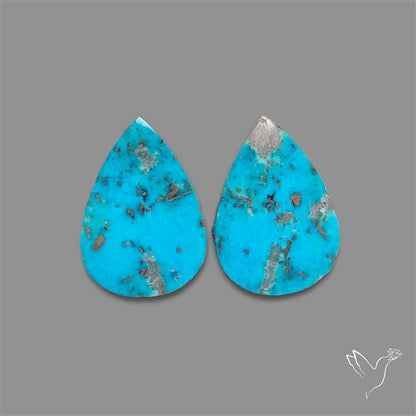 Rare Campitos Mines Turquoise Pair with Pyrite Inclusion