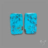 Campitos Mines Turquoise Pair