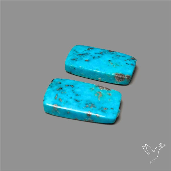 Campitos Mines Turquoise Pair