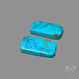 Campitos Mines Turquoise Pair