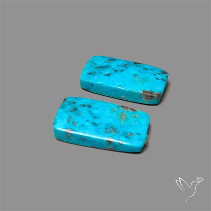 Campitos Mines Turquoise Pair