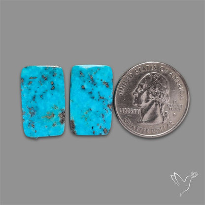 Campitos Mines Turquoise Pair