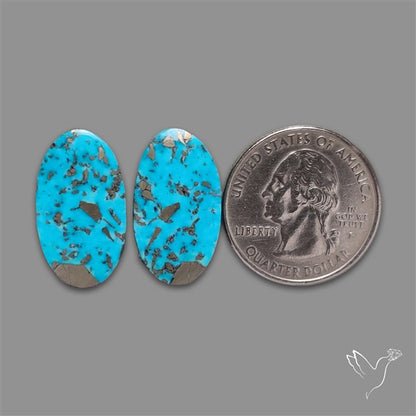 Rare Campitos Mines Turquoise Pair with Pyrite Inclusion