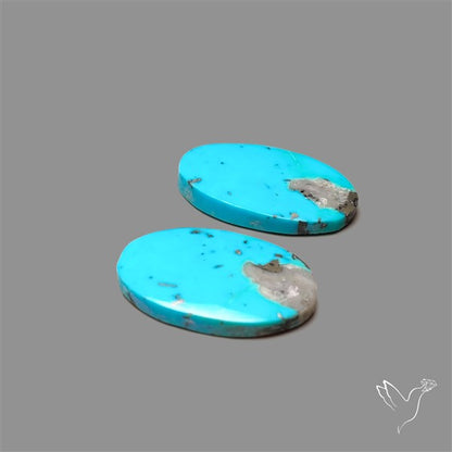 Campitos Mines Turquoise Pair