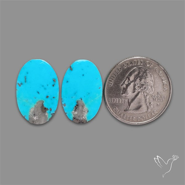 Campitos Mines Turquoise Pair