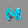 Rare Campitos Mines Turquoise Pair with Pyrite Inclusion
