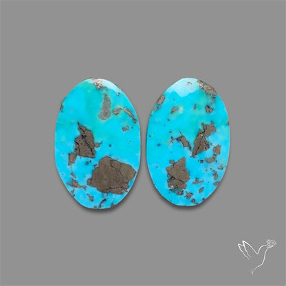 Rare Campitos Mines Turquoise Pair with Pyrite Inclusion
