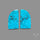 Campitos Mines Turquoise Pair