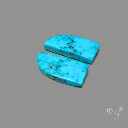 Campitos Mines Turquoise Pair