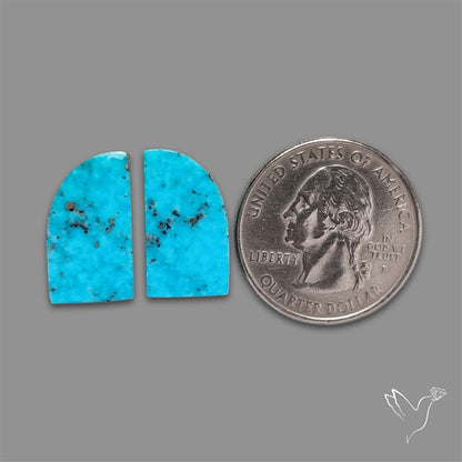 Campitos Mines Turquoise Pair