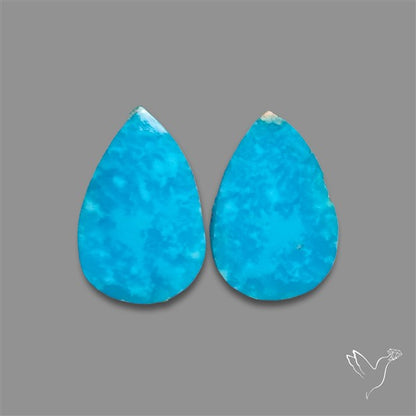 Campitos Mines Turquoise Pair