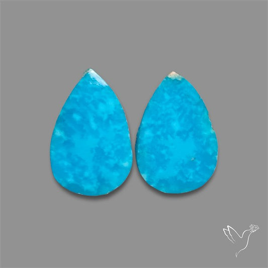 Campitos Mines Turquoise Pair