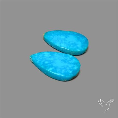Campitos Mines Turquoise Pair