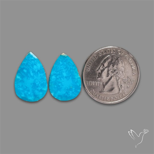 Campitos Mines Turquoise Pair