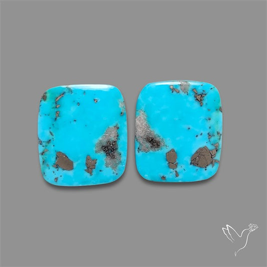 Rare Campitos Mines Turquoise Pair with Pyrite Inclusion