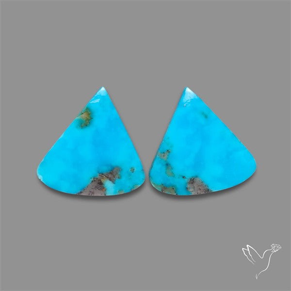Campitos Mines Turquoise Pair