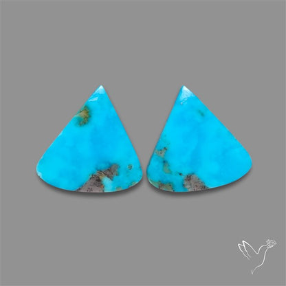Campitos Mines Turquoise Pair
