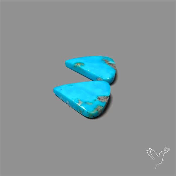 Campitos Mines Turquoise Pair