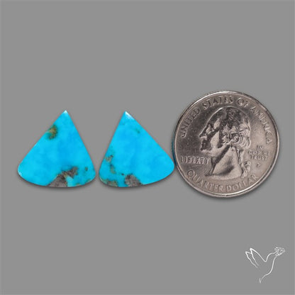 Campitos Mines Turquoise Pair