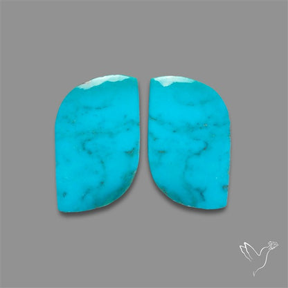 Campitos Mines Turquoise Pair