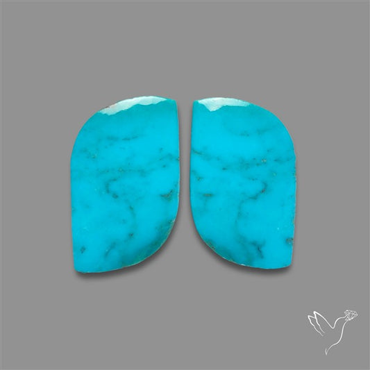Campitos Mines Turquoise Pair