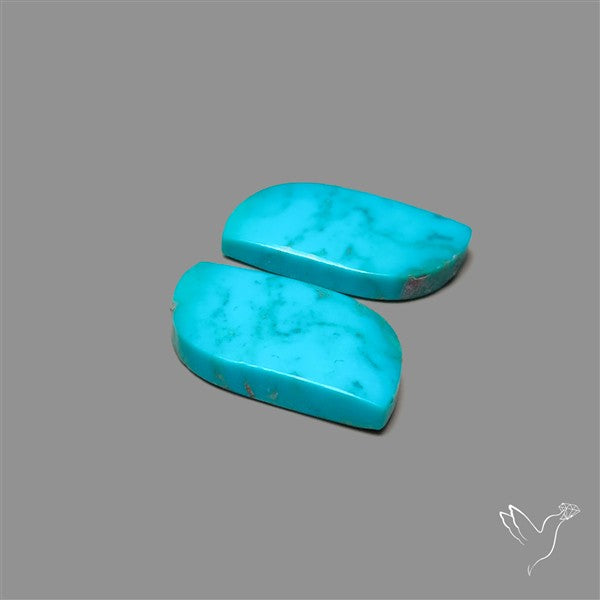 Campitos Mines Turquoise Pair