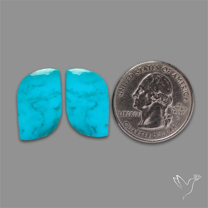 Campitos Mines Turquoise Pair