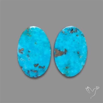 Rare Campitos Mines Turquoise Pair with Pyrite Inclusion