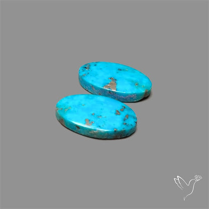 Rare Campitos Mines Turquoise Pair with Pyrite Inclusion