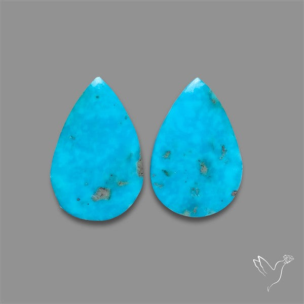 Campitos Mines Turquoise Pair