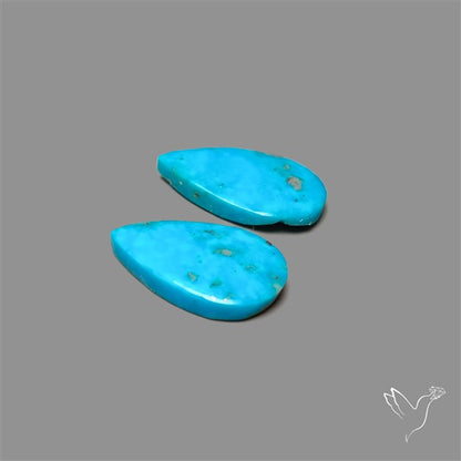 Campitos Mines Turquoise Pair