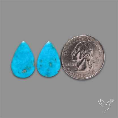 Campitos Mines Turquoise Pair