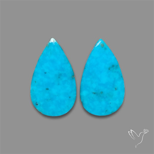 Campitos Mines Turquoise Pair